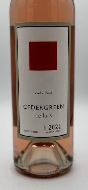 Cedergreen Rose 'Viola' 2024