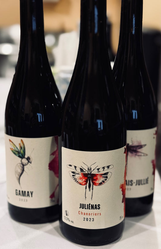 Oedipoda Gamay VDF 2023
