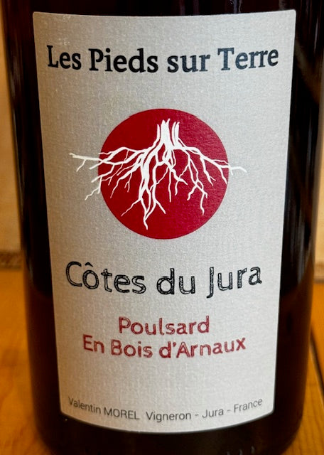 Valentin Morel, Poulsard En Bois, 2023