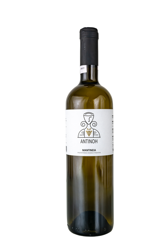 Panagopoulos Antinoe, Moschofilero, 2024