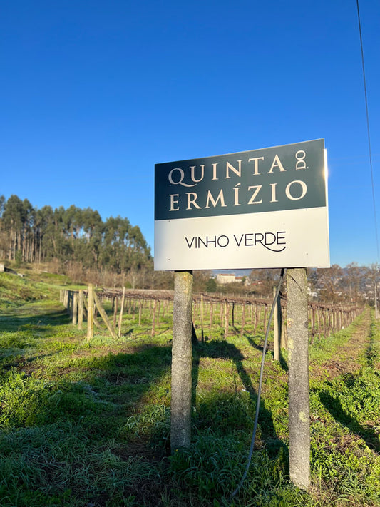 Ermizio Vinho Verde 2024