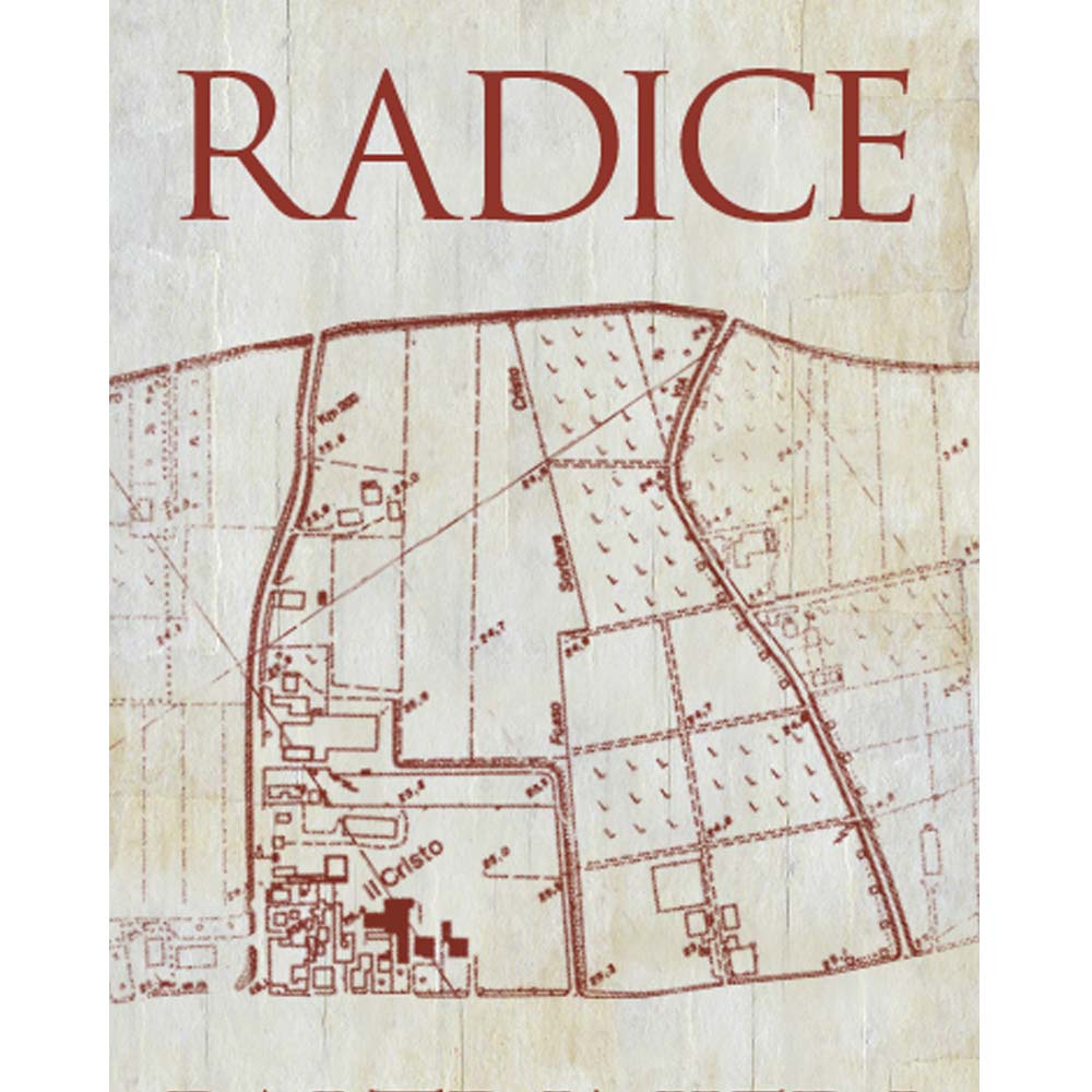 Paltrinieri Lambrusco ' Radice' 2023