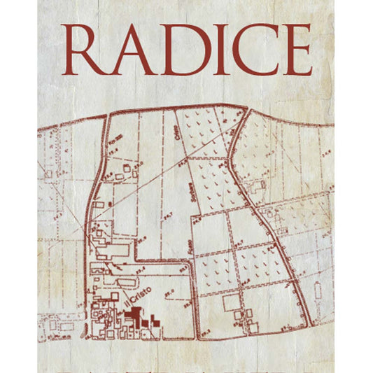 Paltrinieri Lambrusco ' Radice' 2023